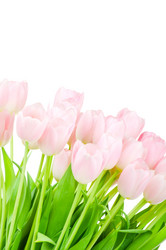 Similar image 215084