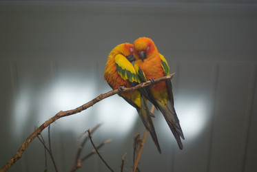 Similar image 215098