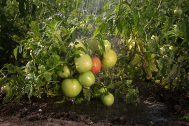 Similar image 215113