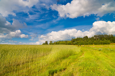 Similar image 215167