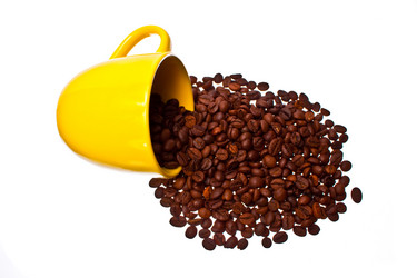 Similar image 215197