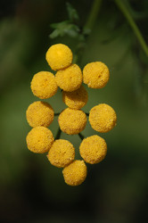 Similar image 215219