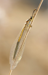 Similar image 215276