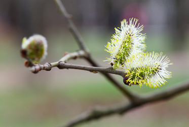 Similar image 215292