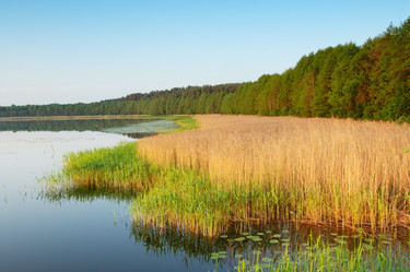 Similar image 215294