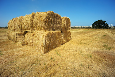 Similar image 215302