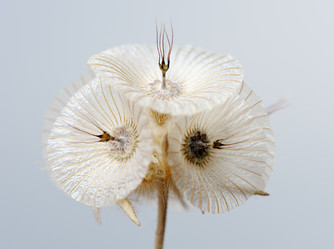 Similar image 215306