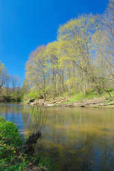 Similar image 215332