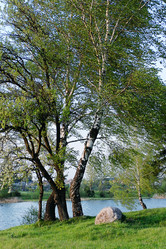 Similar image 215341