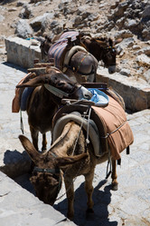 Similar image 215381