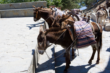 Similar image 215382