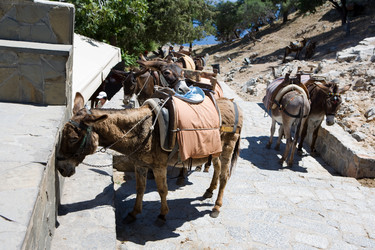 Similar image 215383