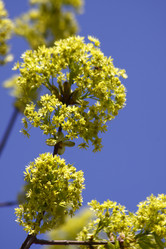 Similar image 215408