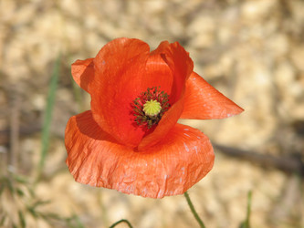 Similar image 215414