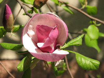 Similar image 215415