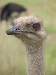 Similar image 215423