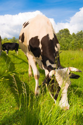 Similar image 215425