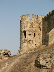 Similar image 215462