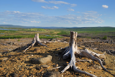 Similar image 215502