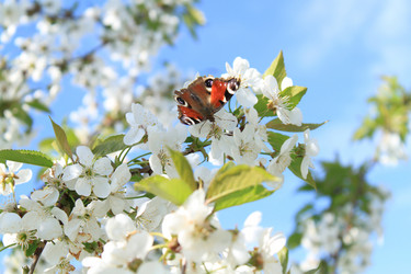 Similar image 215540