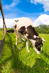 Similar image 215560