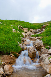 Similar image 215603