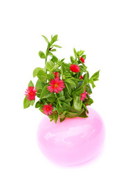 Similar image 215633