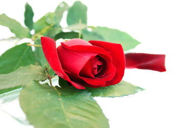 Similar image 215638