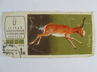 Similar image 215648