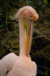 Similar image 215662