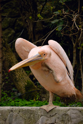 Similar image 215663