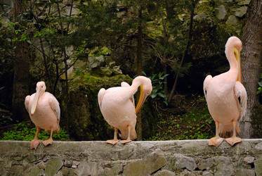 Similar image 215664