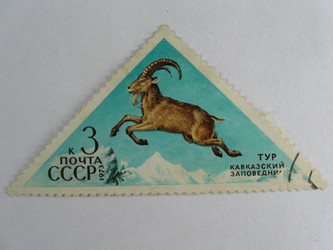 Similar image 215670