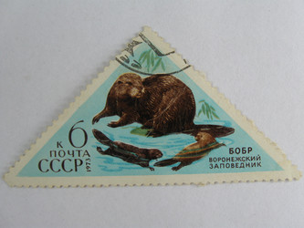 Similar image 215671