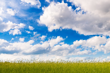 Similar image 215673