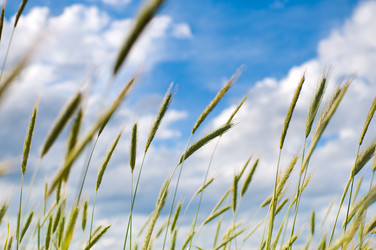 Similar image 215675