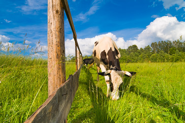 Similar image 215678