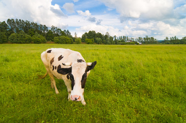 Similar image 215680