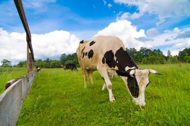 Similar image 215681