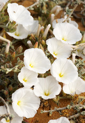 Similar image 215699