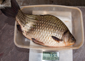 Similar image 215710