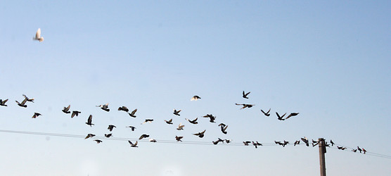 Similar image 215759