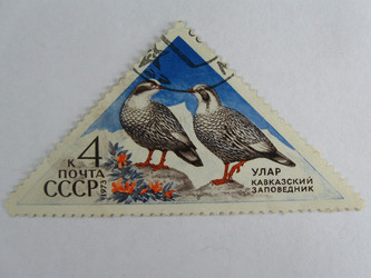 Similar image 215800