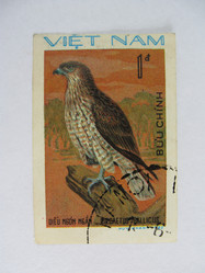 Similar image 215801