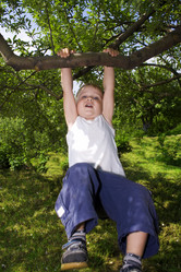 Similar image 215840