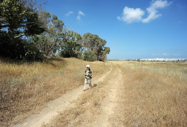 Similar image 215847