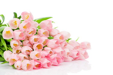 Similar image 215858