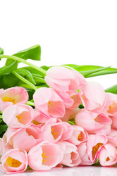 Similar image 215861