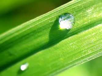 Similar image 215875