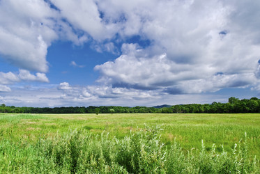 Similar image 215910